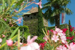 Apartments Schloss Warth - 1