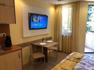 Studio Villa Park Premium Gold - 2