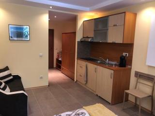 Studio Villa Park Premium Gold - Borovets - 5