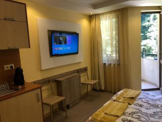 Studio Villa Park Premium Gold - Borovets - 3