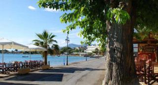 An Edens Garden Near The Sea - Pansion Youli - Selianitika - 1