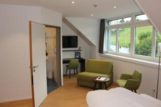 Seehotel Delphin - Meisterschwanden - 7