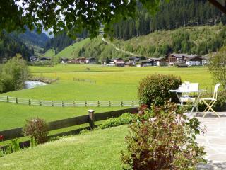 Haus Mali - Neustift im Stubaital - 9