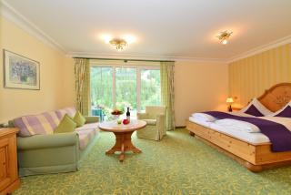 Hotel Garni Ingeborg - Mittelberg - 7