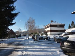 Apartmán na Polesí - Deštné v Orlických horách - 8