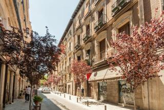 Centric Plaza Mayor - 1