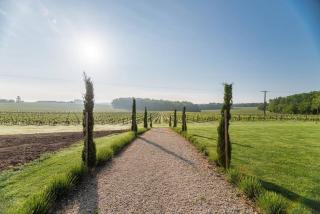 Luxury French Stone Country House - Pellegrue - 1