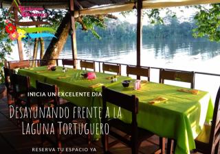 Chinitas Eco Lodge - Tortuguero - 9