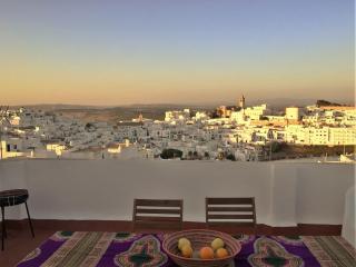 CASA MOLINERO con encanto y maravillosa terraza con vistas VFT/CA/05921 - Vejer de la Frontera - 0