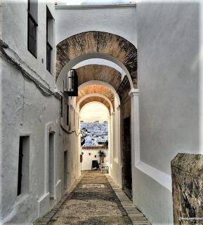 CASA MOLINERO con encanto y maravillosa terraza con vistas VFT/CA/05921 - Vejer de la Frontera - 4
