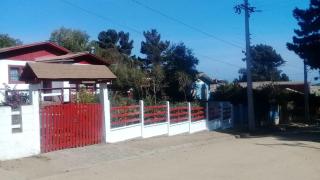 los troncos - 6