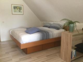 B&B De Eikenhorst - Elsloo - 5