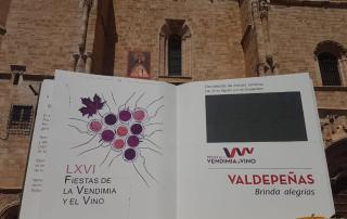 PISO CANAL - Valdepeñas - 9