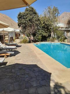 Hotel El Milagro - Pisco Elqui - 9