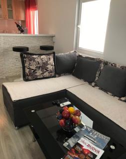 Apartman Djordje 1 - Budva - 7