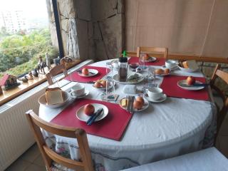 B&B Santo Domingo Chile ENGLISH SPOKEN Gran Departamento compartido desayuno incluido frente al mar PARQUE TRICAO bird sanctuary 14kms 9miles away WIFI GRATIS - Santo Domingo - 4