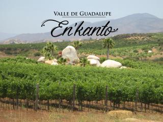 En'kanto Valle de Guadalupe - San Marcos - 0