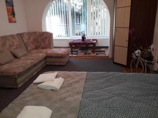 Central Appartment St's Martin Church - Braşov - 6