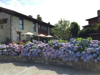 Apartamentos El Hospital de Villahormes - Villahormes - 7