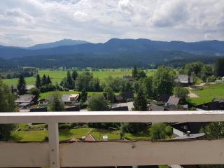 Mountain View Apartment - Bad Mitterndorf - 2