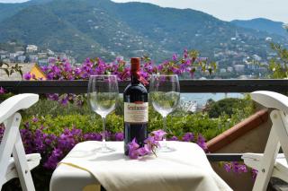 Villa Chichizola - Rapallo - 1