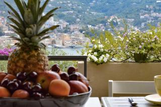 Villa Chichizola - Rapallo - 8