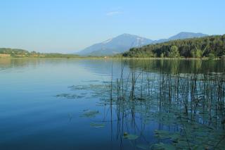 Komfortappartements Schönblick - 9