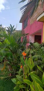 Royal pine cottage hotel - Ruiru - 1