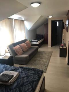 Wellion - Covasna - 4
