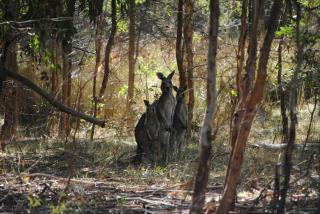 Huntinaddi Lodge - 5