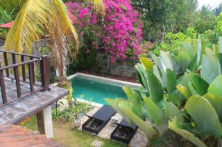 Ubud River Campuhan Villa - Ubud - 3