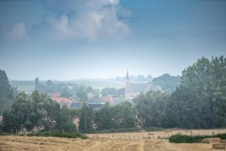 VELPE 55 - Bierbeek - 9