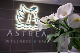 L' Araba Fenice Hotel & Resort - Altavilla Silentina - 3