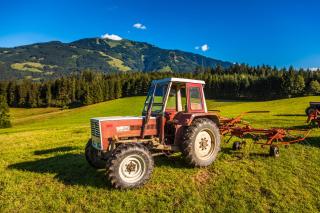 Oberstockinghof - Saalfelden am Steinernen Meer - 3