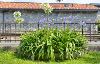 Casa Giardino fiorito - San Siro - 8