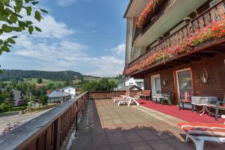 Hotel Silberdistel - Hinterzarten - 3