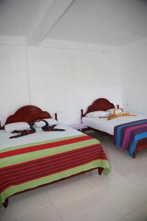 The Tea View Guest Ella - 6