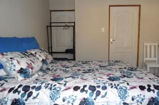 Rosy Palm Sunrise - 1