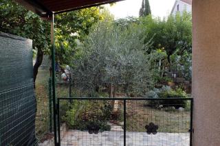 Studio Novigrad 2536a - Novigrad - 4