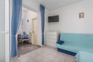 Studio Novigrad 2536a - Novigrad - 1