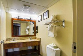 Comfort Inn Downtown - Cleveland - 8