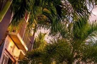 Southern Cross Atrium Apartments - Cairns - 6