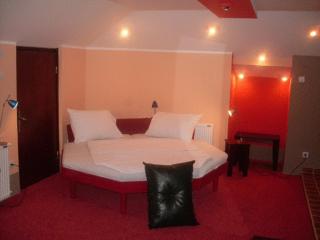 HOTEL VILA MITIC LUXX SPA centar - Leskovac - 1