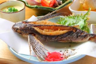 Tanegashima Minshuku Yuyu - 3