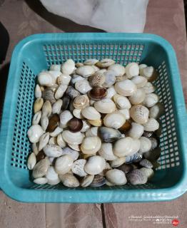 Marang Village Resort - Marang - 1