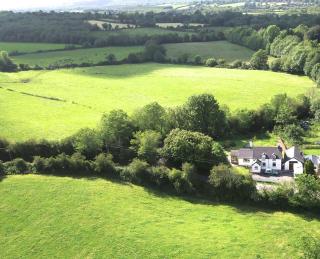 Tig Lammax - Macroom - 8
