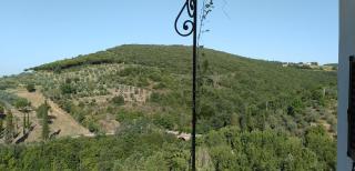 Casa Vacanze "Nonna Vela" - Petroio - 7