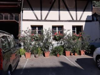 GITE DU FLORIMONT CENTRE ALSACE route des vins - Ingersheim - 7