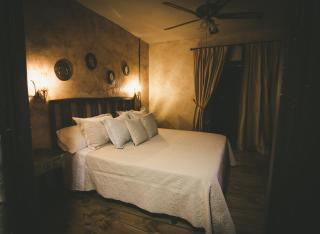 Hotel Rural La Guaja - Puebla de Sanabria - 8