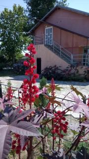 Home Away From Home - Skopje - 8